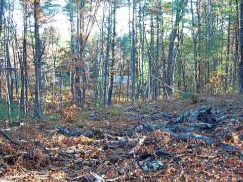 Homes for Sale - Lot 2 Cranberry St Pepperell MA 01463 - Gregg Plummer