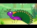 Babytv Bim And Bam In The Animal World Peacock
