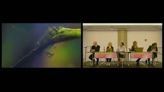 Jo Guldi, Shannon Mattern, and Xiaowei R. Wang on Speculative Geographies and Spatial Media