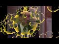 My Reaction That The Governor Of Georgia Re Opened While The Coronavirus Is Still Detected