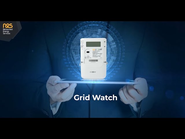 Discover Grid Watch – NES Security Application that includes a unique intrusion detection and response system.