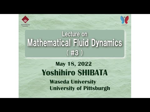 Lecture on Mathematical Fluid Dynamics #3