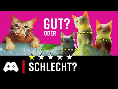 TOP vs FLOP Wertungen! - Stray Edition