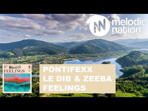 Pontifexx, Le Dib, Zeeba - Feelings