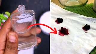How to remove blueberry stains out of cotton clothes - Cleaning solutions