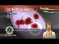 Trauma Center: New Blood 1 6 Awakening