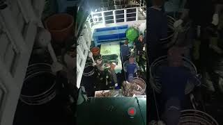 Download lagu fv jin shing syang 7 #viral #pelautindonesia #videoshort #kapalnelayan #taiwan mp3