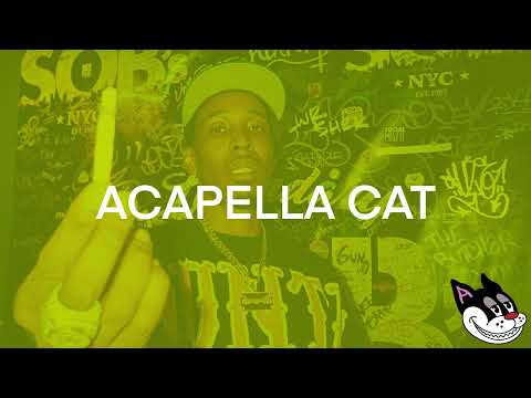 Rome Streetz - Hell Backwards Acapella 79 BPM - 4K Acapella Cat