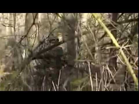 Tajemnice lasu. Na poligonie po byłej jednostce wojskowej.