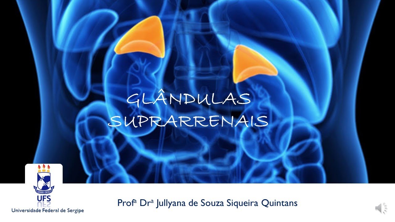 MÓDULO 2   Aula 6  ADRENAL