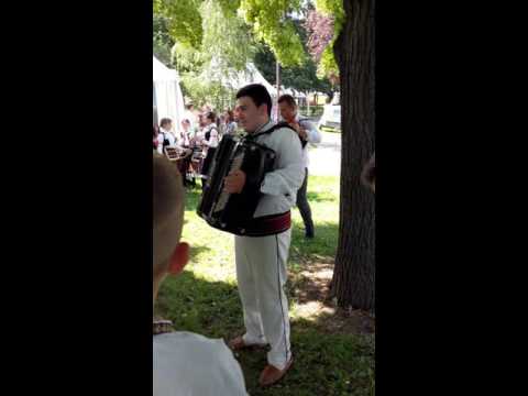 Nemanja Pavlovic iz Sarbanovca kod Bora svira harmoniku u Beogradu