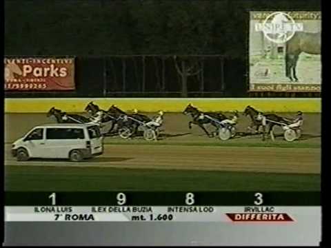 Gabriele Del Castillo - Impetuoso - Roma TdV