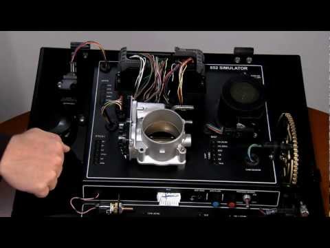 Lexus Safety Features of Electronic Throttle Control Systems (ETCS)
