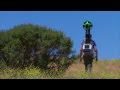 A person shown from behind hiking through a field with a camera-mounted backpack