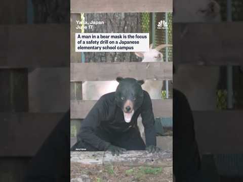 Masked man leads safety drills after Japan bear attacks