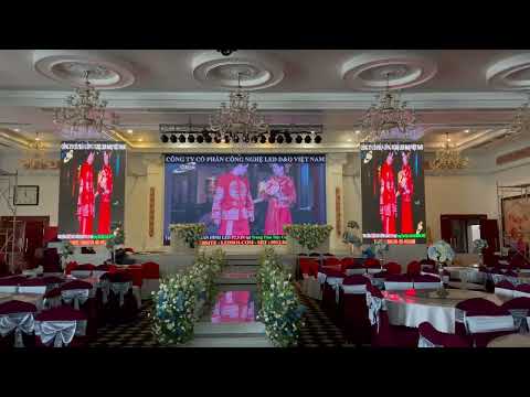 Video dự án