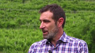 merotto: la differenza tra prosecco doc e docg