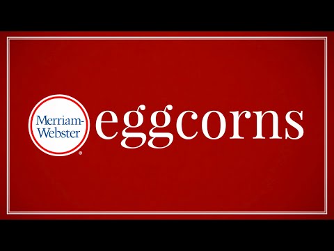 What Is an Eggcorn? - Merriam-Webster