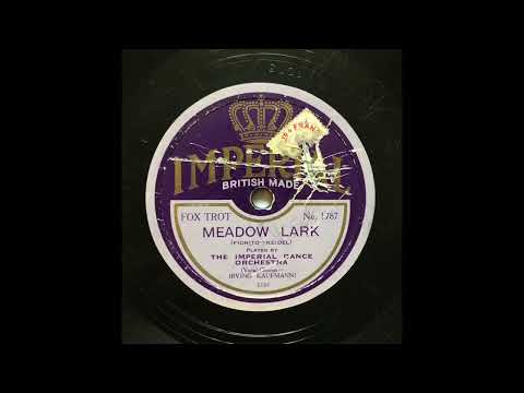 Adrian Schubert and his Salon Orchestra - Meadow Lark