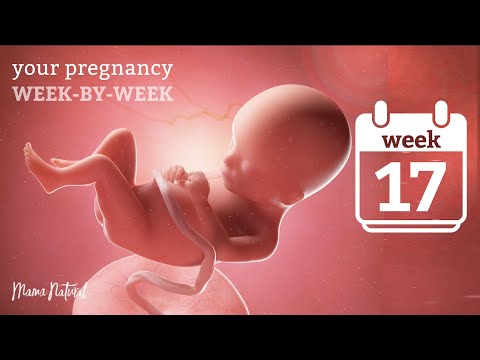 17 Weeks Pregnant - Natural Pregnancy Week-By-Week