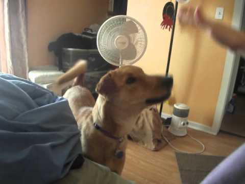 cooper saying he loves beca