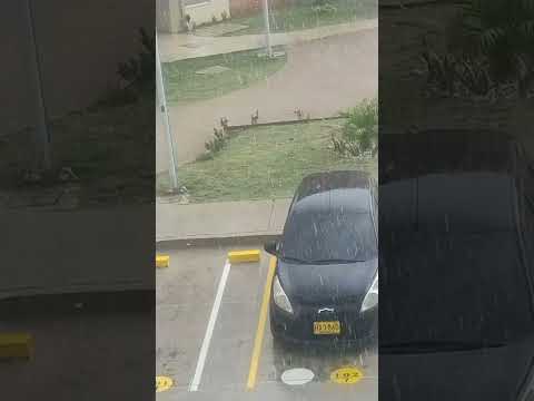 Bello aguacero 🌧️☔Soledad Atlántico Colombia Octubre 8 de 20252:50 PM 😱@jorgeescobarjunior