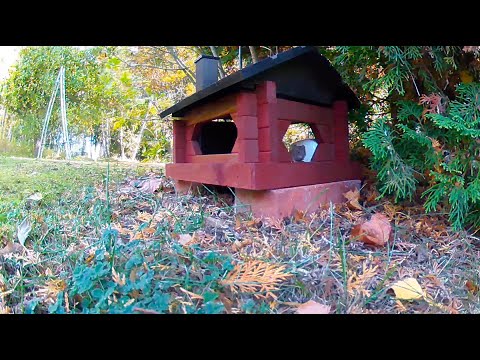 Produktgranskning: Ultraljuds musskrämma - funkar den för att hålla borta mössen?