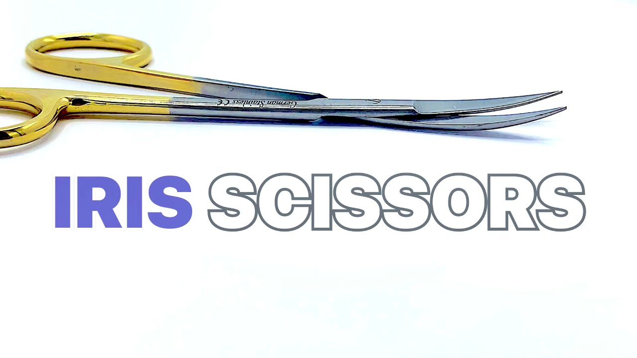 TC IRIS Micro Dissecting Scissors 4.5