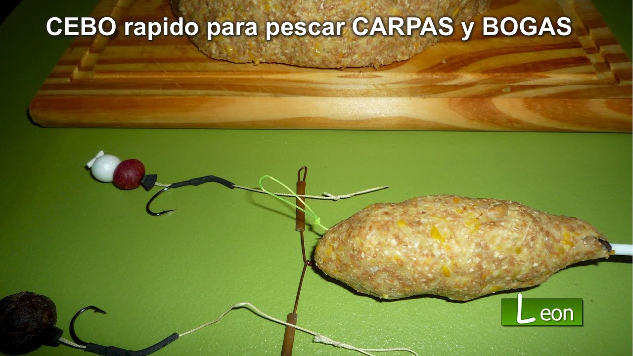Como Preparar Cebo Para Pescar 2023