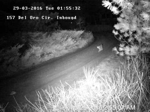 DrivewayInHD 20160329 025508 large 1