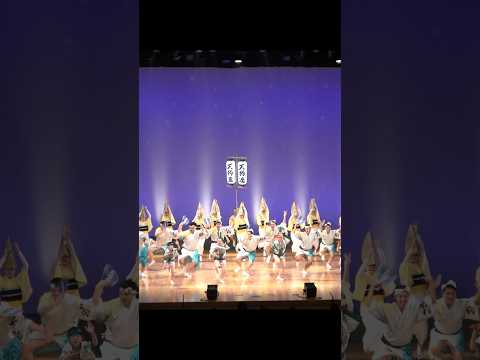 【天狗連】阿波おどり舞台公演セシオン2025 presented by 純情商店街 #阿波踊り