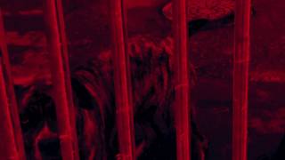 Dune Messiah - We Vanish