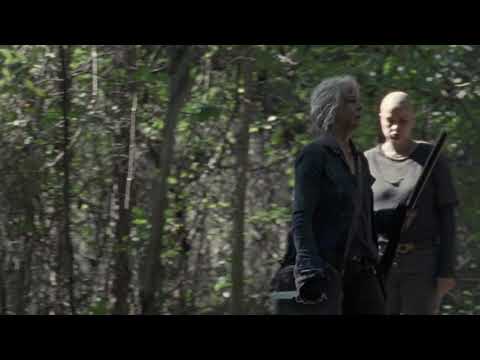 Carol's Hallucinating Seeing Alpha