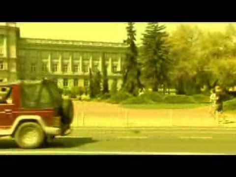 ante cash - necu vise