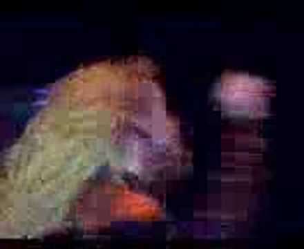 Alexia Twister The Club Litoral