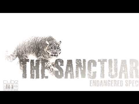 The Sanctuary preview