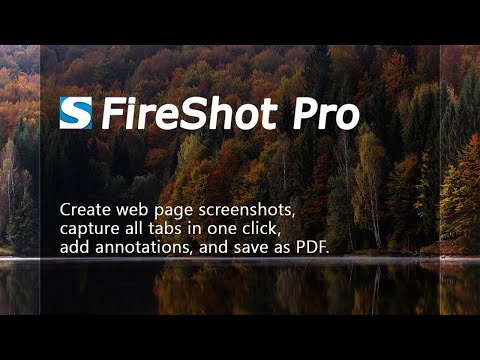 Making full web page screenshots with FireShot Pro