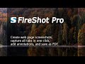 Making full web page screenshots with FireShot Pro