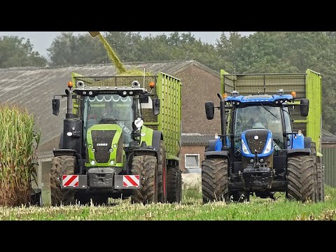 Mais Silage | Nikkels | Krone BiG X 850 + Claas Axion 920 + New Holland T7.230 | 2020