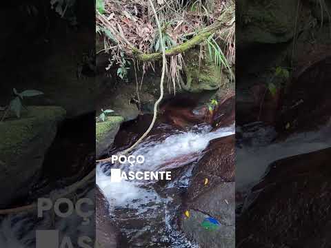 🏡 SÍTIO DE 10.5 HECTARES EM CARVALHOS MG | 300.000