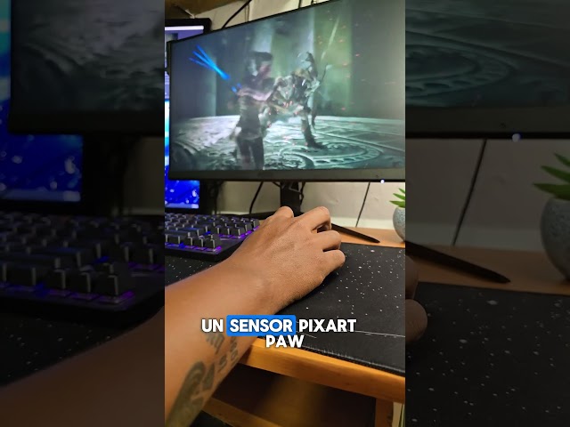 Vídeo relacionado con MSI Versa 300 W - RATÓN Gaming INALÁMBRICO - Sensor óptico 8000 dpi, 1000 Hz tasa de frecuencia, Simétrico, 6 Botones, 50 Horas de batería, 1ms de latencia, RGB, 60g - con Cable/sin Cable