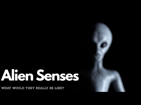 Alien Senses EXPLAINED: What Would They Really Be Like?