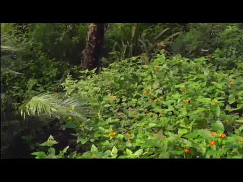 Я так люблю тебя, Планета Земля!