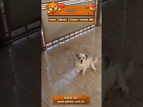 Vídeo de Cheidy