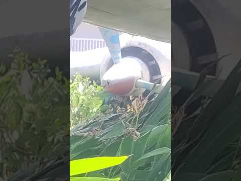 Una pieza del Puerto | (sin explicar) Puerto Deportes