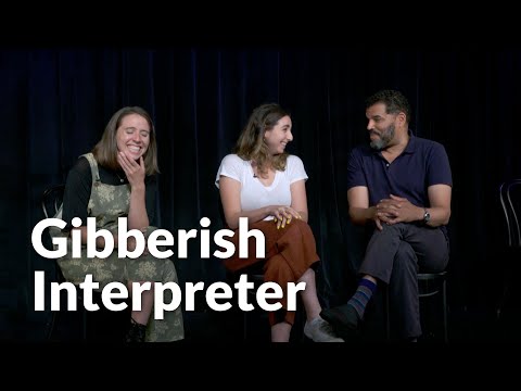 Gibberish Interpreter – Chicago Stories (WTTW)