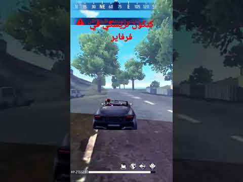 كتكوت ترسكي في فرفاير