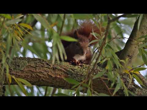 Natur entdecken und erleben