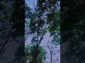 Kab Mene Ye Socha Tha Bollywood Remix Song Reel