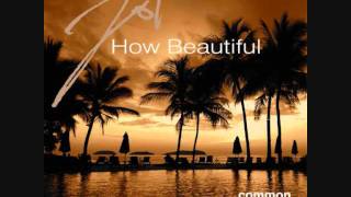 Joi - How Beautiful (Instrumental Mix)